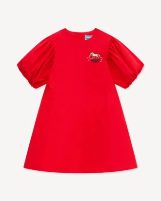 Lunar New Year’ Embroidered Dress in Poplin