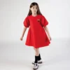 Lunar New Year’ Embroidered Dress in Poplin
